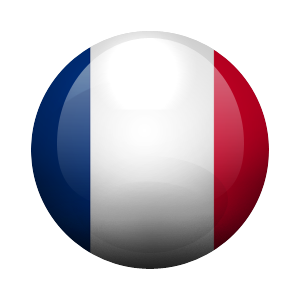 VPN French IP - Monthly